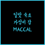 달랏 가성비 최고 호텔, MACCAL, 후회 없는 선택이 될 것이다!