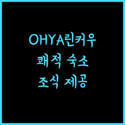 OHYA 부티크 모텔 린커우.. 쾌적함과 조식의 완벽 조화! 린커우호텔 가성비숙소 모텔추천