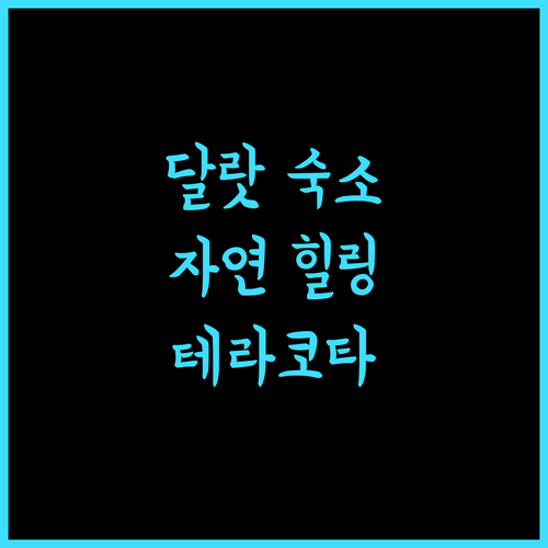 테라코타 호텔 달랏, 아름다운 자연 속 힐링 여행 추천!