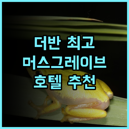 코스틀랜즈 머스그레이브 호텔 추천 후기.. 더반 최고의 서비스와 편안함을 경험하세요 더반호텔 머스그레이브 비즈니스호텔