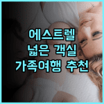 에스트렐 베를린 추천 후기 넓은 객실, 훌륭한 아침 식사 베를린숙소 가족여행 호텔추천