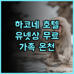하코네 호텔 고와키엔 추천 후기.. 가성비 좋은 하코네 호텔, 유넷상 무료 이용 혜택 하코네여행 가족여행 온천