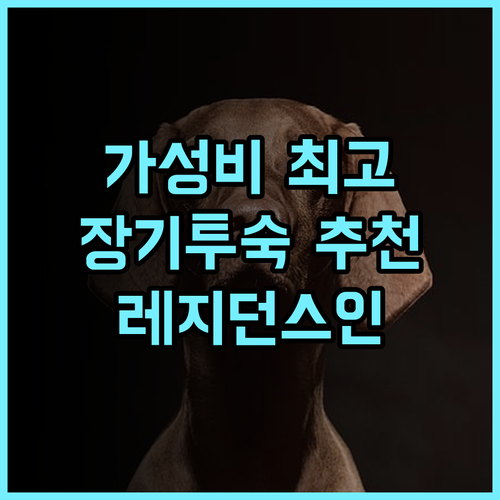 Residence Inn 프랑크푸르트 시티 센터 추천 후기 가성비 최고! 장기 투숙객에게 강력 추천 프랑크푸르트호텔 레지던스인 가성비호텔 출장