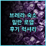 밀란 로열 스위트 브레라 추천 후기 밀라노 중심 브레라 지구 최고의 선택 특별한 체크인 경험 밀라노숙소 브레라지구 럭셔리