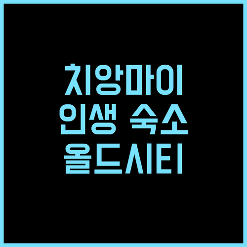 Pran At Kumuang Boutique House 추천 후기 치앙마이 올드시티 감성 숙소! 사장님 친절, 인생 숙소 등극! 치앙마이숙소 올드시티호텔 태국감성숙소