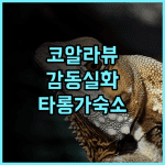 와일드라이프 리트리트 앳 타롱가 추천 후기 코알라 뷰는 감동 그 자체 타롱가동물원 시드니호텔 이색숙소