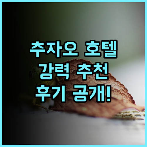 쉐라톤 추자오 호텔 추천 후기! 추저우 여행객에게 강력 추천하는 호텔