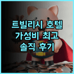 이비스 버짓 트빌리시 센터 솔직 후기, 위치와 가격 모두 만족! 트빌리시호텔 가성비 여행필수템