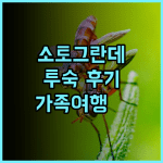 소토그란데 호텔 실제 투숙 후기! 일로일로 여행객에게 강력 추천 수영장 가족여행 일로일로호텔