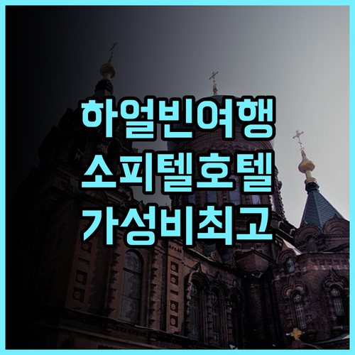 소피텔 하얼빈, 재방문 의사 100%! 솔직 추천 후기 하얼빈호텔 가성비최고 여행필수템