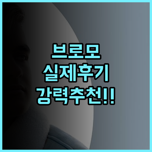 플라타란 브로모 실제 방문 후기! 브로모 화산 여행객에게 강력 추천하는 이유