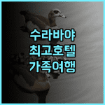 크라운 프린스 수라바야 시티 센터 추천 후기 편안함과 편리함이 공존하는 완벽한 숙박 수라바야호텔 가족여행 시티뷰
