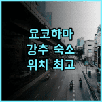 호텔 마이스테이스 요코하마 간나이 추천 후기, 요코하마 중심 위치! 넓고 깨끗한 숙소!