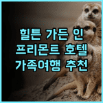 힐튼 가든 인 프리몬트 밀피타스 추천 후기 깨끗하고 편리한 위치 프리몬트호텔 비즈니스호텔 가족여행