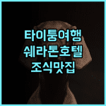 쉐라톤 타이퉁 호텔 추천 후기 곰팡이 냄새에도 불구하고 조식이 훌륭 가성비 타이퉁여행 쉐라톤호텔