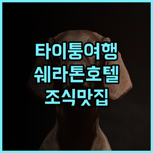 쉐라톤 타이퉁 호텔 추천 후기 곰팡이 냄새에도 불구하고 조식이 훌륭 가성비 타이퉁여행 쉐라톤호텔