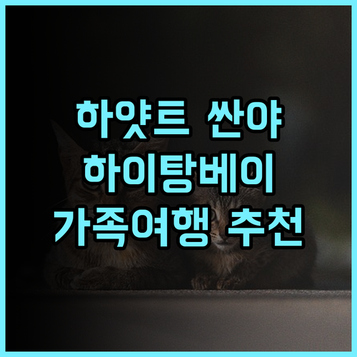 그랜드 하얏트 싼야 추천 후기, 하이탕 베이 최고의 선택! 싼야여행 하이탕베이호텔 가족여행추천