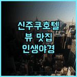 HOTEL GROOVE SHINJUKU 추천 후기 신주쿠 뷰 맛집! 인생 야경 보장 신주쿠호텔 도쿄여행 가족여행