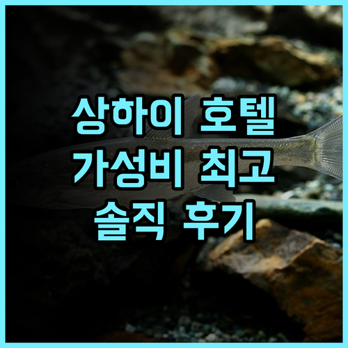 홀리데이 인 익스프레스 상하이 전핑 추천 후기 중심가 위치! 깔끔한 객실 가성비 출장 상하이여행