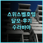 그랜드 스위스-벨호텔 달모 추천 후기 친절한 서비스와 맛있는 조식 뷔페 수라바야여행 가족여행 호텔추천