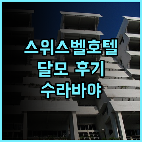 그랜드 스위스-벨호텔 달모 추천 후기 친절한 서비스와 맛있는 조식 뷔페 수라바야여행 가족여행 호텔추천