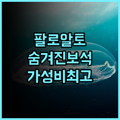 더 크리크사이드 인 생생 후기 팔로알토의 숨겨진 보석 같은 호텔 가성비최고 팔로알토여행 조용한휴식