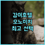 우라시마 인 강이 추천 후기.. 오노미치 여행, 여기만한 곳 없을걸? 오노미치 강이호텔 최고의선택