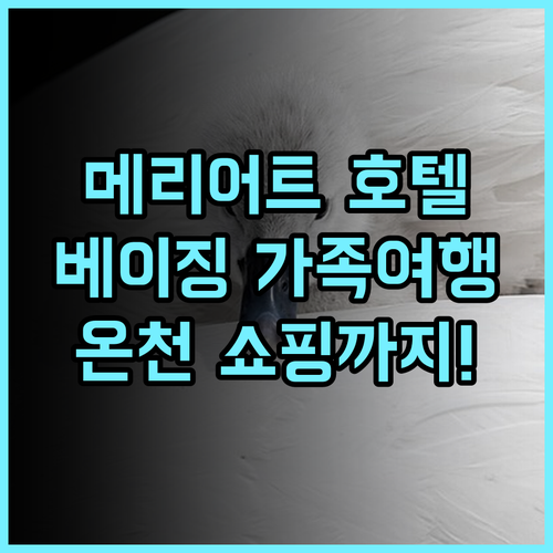 베이징 러둬강 메리어트 호텔 추천 후기 깔끔함과 편리함에 감동! 가족여행 온천 쇼핑
