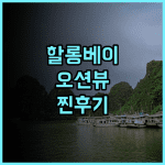 윈덤 레전드 할롱 추천 후기 바다 전망과 친절한 서비스에 감동!