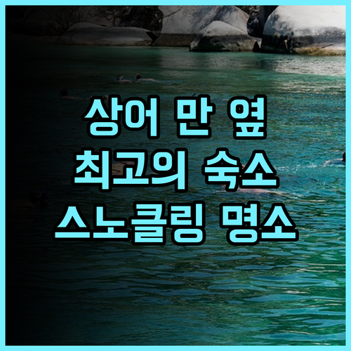 타토 시뷰 리조트 추천: 샤크 베이 옆 환상적인 숙소! 스노클링 명소! 샤크베이 스노클링 오션뷰