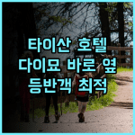 타이산 호텔 추천 후기 다이묘 바로 옆! 태산 등반객에게 최적의 위치 태산여행 가족여행 접근성최고