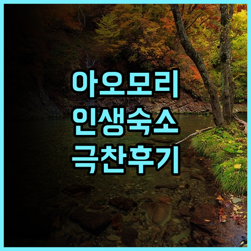 레라보-메디컬 스파&스테이-: 아오모리 여행객이 극찬한 최고의 숙소! 아오모리 스파 추천후기