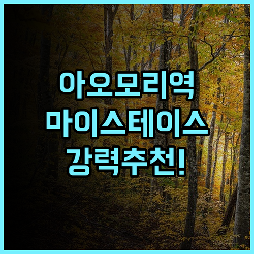 호텔 마이스테이스 아오모리 스테이션 방문 후기 아오모리 숙소로 강력 추천!