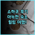쇼하쿠 추천 후기, 아늑하고 친절한 숙소! 힐링하기 좋은 곳! 아즈미노숙소 일본여행 가족여행