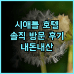 호텔 맥스 시애틀 방문 후기! 위치 좋고, 직원 친절! 하지만 방음은 아쉬워요 시애틀호텔 내돈내산 솔직후기