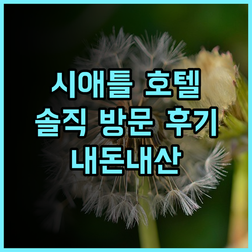 호텔 맥스 시애틀 방문 후기! 위치 좋고, 직원 친절! 하지만 방음은 아쉬워요 시애틀호텔 내돈내산 솔직후기