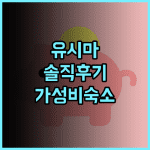 섹션 L 유시마 – 우에노 솔직 후기 가성비 숙소 추천 우에노호텔 섹션L 도쿄가성비
