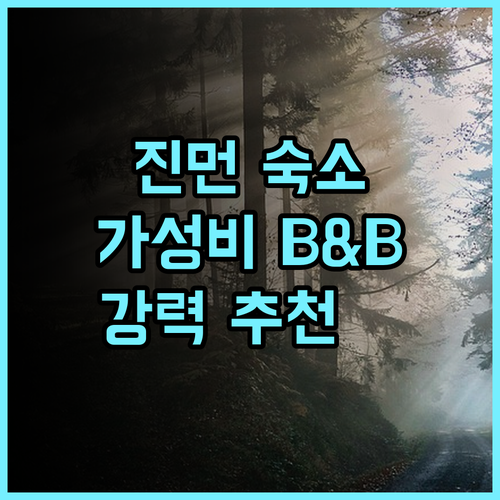 골든 이어 B&B 추천 후기 아늑한 숙소, 친절한 서비스에 감동 진먼여행 가성비숙소 홈스테이추천