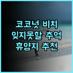 코코넛 비치 리조트! 잊지 못할 추억! 최고의 선택! 휴양지 강력추천 여행스타그램