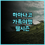 호텔 웰시즌 하마나코 추천 후기! 가족 여행객에게 완벽한 선택 가족여행 하마나코 최고의서비스