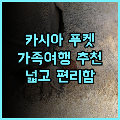 Cassia Phuket 추천 후기 가족 여행객에게 강력 추천! 넓고 편리한 카시아 푸켓