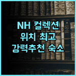 NH 컬렉션 헬신키 그랜드 한사 추천 후기! 최고의 위치, 잊지 못할 친절한 서비스 헬싱키여행 최고의숙소 강력추천