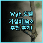 Wyh Hotel 추천 후기 가성비 최고 숙소!