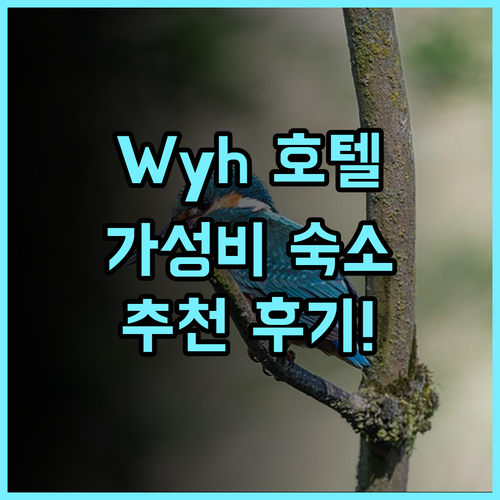 Wyh Hotel 추천 후기 가성비 최고 숙소!