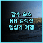 NH 컬렉션 헬신키 그랜드 한사 추천 후기 럭셔리한 헬싱키 여행의 시작 NH컬렉션 헬싱키여행 럭셔리호텔