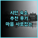 Old locust Homestay 추천 후기 시안 여행객의 마음을 사로잡는 숙소