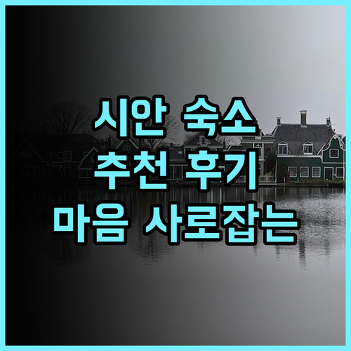 Old locust Homestay 추천 후기 시안 여행객의 마음을 사로잡는 숙소