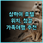 호텔 샬레 상하이 숙박 후기 위치 청결 친절 삼박자 호텔 상하이호텔 강력추천 가족여행