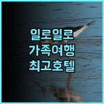 시타딘 아미고 일로일로, 최고의 선택! 가족여행 일로일로호텔 추천후기