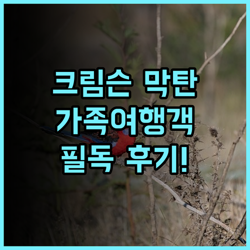 크림슨 리조트 막탄 추천 후기 가족 여행객 필독! 세부여행 막탄리조트 가족여행